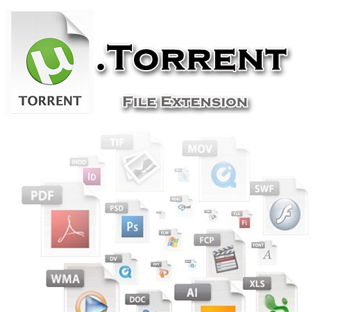 فرمت فایل تورنت Torrent